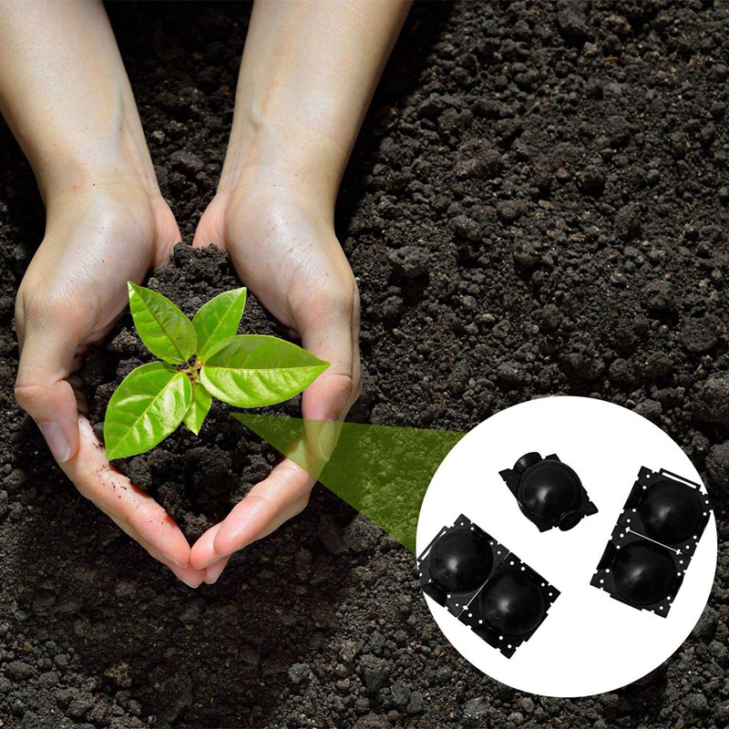 Bộ 20 Thiết Bị Rễ Cây Có Thể Tái Sử Dụng - Hộp Bóng Giống Áp Lực Cao (S) Thiết Bị Giống