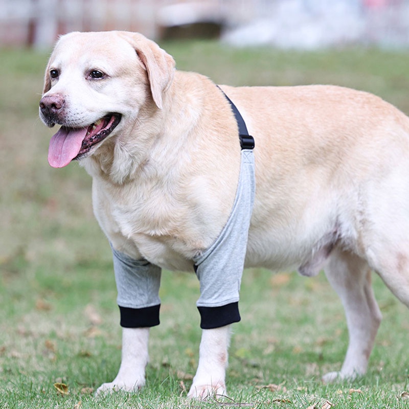 HamshMoc Mềm Cho Chó Chân Trước Tay Có Thể Điều Chỉnh Canine Khuỷu Tay Nẹp Chân Thú Cưng Vết Thương Bảo Vệ Cho Vai Hỗ Trợ Khuỷu Tay Hygroma Dysplasia Viêm Xương Khớp