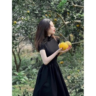 Váy Zip Pha Thô Dày Dặn 2 Màu Dáng Xoè Có Ảnh Thật
