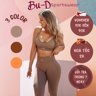 Áo Thể Thao gym nữ Botee dệt kim 2 dây thấm hút co giãn nâng đỡ tốt (Mã 3 màu)