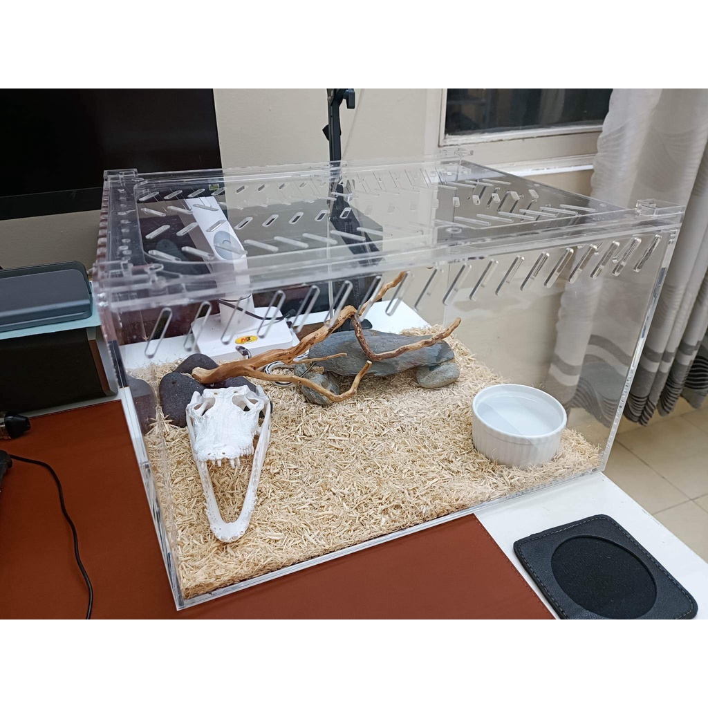 Tank nuôi rắn, nhện,kỳ nhông | Shopee Việt Nam