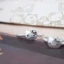Nhẫn Hở Hình Mèo Hello Kitty Dễ Thương Và Dễ Thương Làm Quà Tặng Cho Bạn Thân Bạn Thân Của Cô Ấy