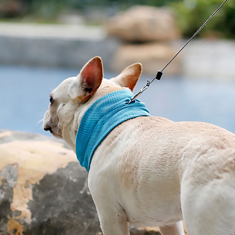 HamshMoc Làm Mát Tức Thì Cho Chó Bandana Thoáng Khí Thú Cưng Khăn Mùa Hè Băng Cổ Có Lỗ Dây Xích Khăn Có Thể Giặt Du Lịch Ngoài Trời