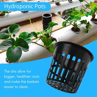 15 Gói 4 Inch Lưới Cốc Có Rãnh Lưới Rộng Môi Lọc Cây Lưới Nồi Xô Giỏ Thủy Canh