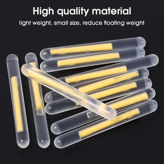 Phao Nổi Phát Sáng Ban Đêm Hữu Dụng Hình Bóng Đèn Cho Hoạt Động Câu Cá