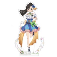 Mô Hình Búp Bê Alice Shimada Nishizumi Miho Isuzu Hana Anchovy Akiyama Yukari Bằng Acrylic Để Bàn Trang Trí