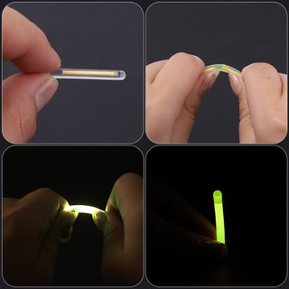 Phao Nổi Phát Sáng Ban Đêm Hữu Dụng Hình Bóng Đèn Cho Hoạt Động Câu Cá