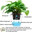 PWSSEND Waterer Rope Garden Auto Seed DIY Hydroponic Wicking