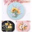 SMILE Cross Kit Đồ thủ công DIY Nghệ thuật Trang trí nội thất Trang trí Kim ren thêu Hoop