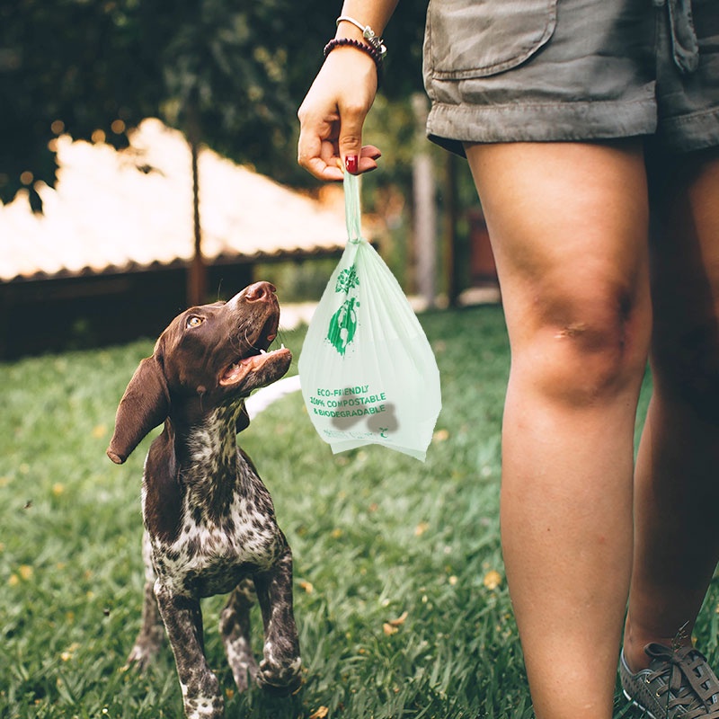 HamshMoc Mùi Niêm Phong Poop Cho Chó Phân Hủy Sinh Học, Không Mùi, Chống Rò Rỉ, Dày, Mạnh Mẽ, Dễ Dàng Phân Phối, Có Tay Cầm Túi Buộc