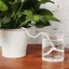 PWSSEND Waterer Rope Garden Auto Seed DIY Hydroponic Wicking