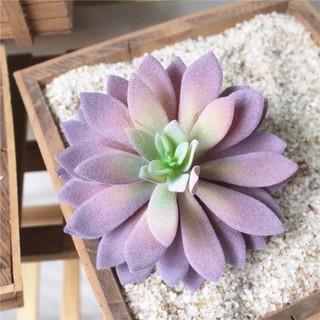 Chậu Hoa Sen Đá Giả Trang Trí