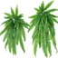 MECOVED Dương xỉ, Lá Ba Tư treo tường mây, Khách sạn dương xỉ nhân tạo bằng nhựa lớn chất lượng cao