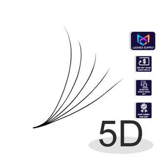 Mi fan 5D  LASHES SUPPLY độ cong C -CC - D, độ dày 0.07 (1 hộp 1000 fan) mi volume 5d, (keo nối mi, uốn mi, dụng cụ nối)