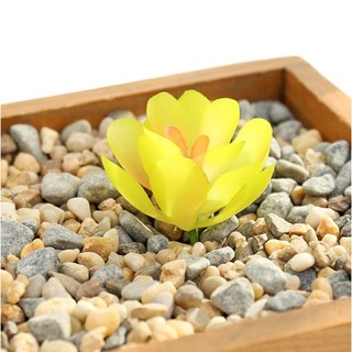 Chậu Cây Sen Đá Giả Trang Trí Sáng Tạo