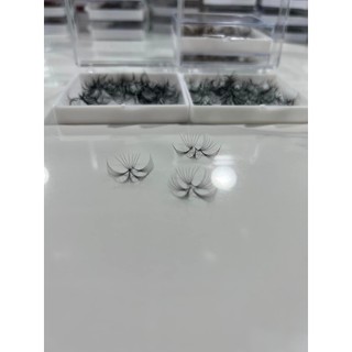 Mi fan 9D LASHES SUPPLY độ cong C, CC, D, độ dày 0.05, 1 hộp 500 fan, mi volume 9D