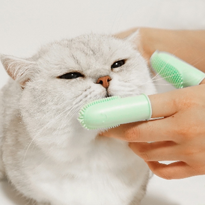 HamshMoc Thiết kế bọc xung quanh Bàn chải ngón tay thú cưng Thiết kế tiện dụng Bàn chải đánh răng thú cưng Làm sạch răng Chăm sóc răng miệng cho chó con mèo