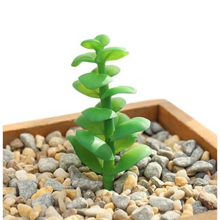 Chậu Cây Sen Đá Giả Trang Trí Sáng Tạo
