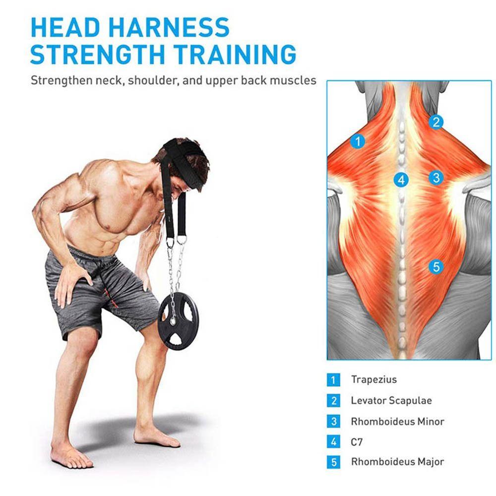 Dây nịt cổ đầu DOAOV78N, Huấn luyện cổ đầu thể hình có thể điều chỉnh, Vòng bi trọng lượng Tăng cường sức mạnh Cổ bền Huấn luyện sức mạnh vận động viên