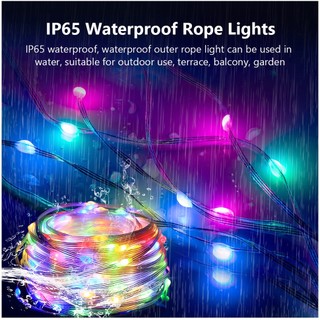 10m 100Leds Thông Minh 5V RGBIC WS2812b Dây Led Cổ Tích Ánh Sáng Dreamcolor Đuổi Theo Trang Trí Ngoài Trời Đồng Bộ Âm Nhạc