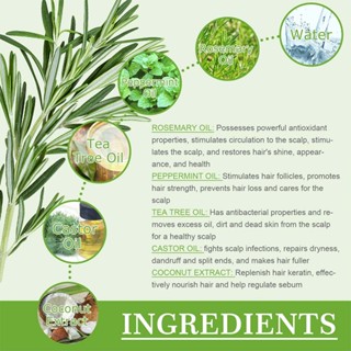 50ML Rosemary Essential Oil cho mọc tóc tự nhiên nuôi dưỡng tóc