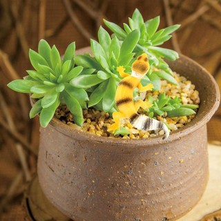 SENRTY Hình Đồ Chơi Động Vật, Gecko Prank Đạo Cụ Trò Chơi Gia Đình Mô Phỏng Nhân Vật Thằn Lằn, Đồ Chơi Nhận Thức Mới Lạ Động Vật Các Bức Tượng Nhỏ Mô Hình Hành Động Quà Tặng Trẻ Em