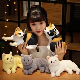 Mèo Nhồi Bông 32cm Mềm Mại Màu Trơn Dễ Thương Dùng Làm Quà Tặng Cho Bé