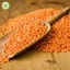 Đậu Lăng Hữu Cơ 500g Just Organik Organic Lentils