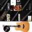 DELMER Guitar Miếng Dán Đàn Guitar Điện Siêu Mỏng 22 Phong Cách Bass PET Guitarra Phụ Kiện Đàn Guitar Đề Can