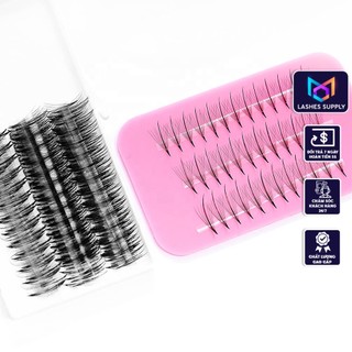 Mi fan Line, dây katun - wisspy 7d -0.07- cong C-CC-D LASHES SUPPLY,hộp 1000 fan, mi volume, dụng cụ nối mi