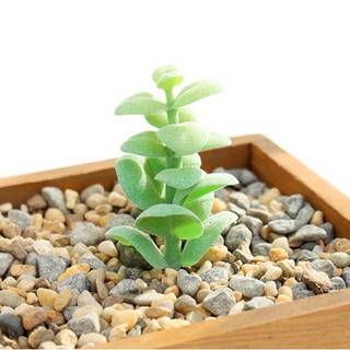 Chậu Cây Sen Đá Giả Trang Trí Sáng Tạo