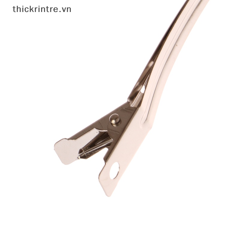 THI 10 Chiếc Kẹp Tóc Kim Loại Để Tạo Kiểu Phần Salon Kẹp Tóc Kẹp Tóc Chân Tóc Lông Tơ DIY Kẹp Dụng Cụ Phụ Kiện Tóc VN