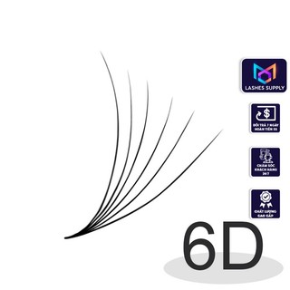 Mi fan 6D LASHES SUPPLY độ cong C -CC - D, độ dày 0.07 (1 hộp 1000 fan) mi volume 6d, (keo nối uốn mi, dụng cụ nối mi)