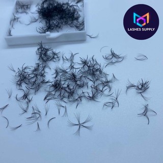 Mi fan 4D độ cong C - CC - D, độ dày 0.10 LASHES SUPPLY (1 hộp 1000 fan) mi volume 4D