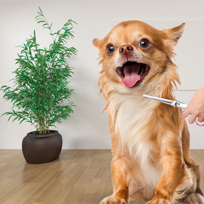 HamshMoc Bộ chải lông thú cưng chuyên nghiệp Bộ chải lông mèo Bộ lược chải tóc thú cưng với đầu tròn an toàn Bộ cắt tóc thú cưng sắc nét và bền