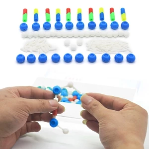 Mô hình cấu trúc xoắn đôi Mya DNA Mô hình DNA Máy trợ giảng khoa học sinh học