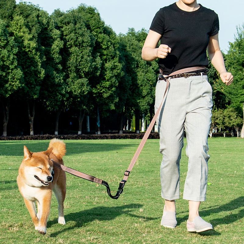 HamshMoc Dây Xích Chó Đa Năng Bungee Chó Chì Chống Sốc Phản Quang Với Tay Cầm Thoải Mái Móc An Toàn rảnh Tay