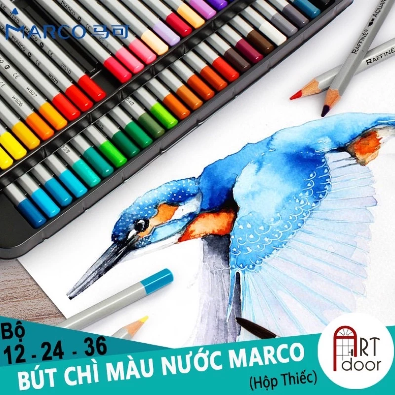 Chì Màu Khô Gốc Dầu Marco Raffine 7100 24/36/48/72 màu (hộp giấy hoặc hộp thiếc)