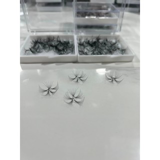 Mi fan 5D  LASHES SUPPLY độ cong C -CC - D, độ dày 0.05 (1 hộp 500 fan) mi volume 5d, (keo nối mi, uốn mi, dụng cụ nối m