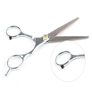 Kéo cắt tóc MARBLEM, Kéo cắt tóc mỏng 6.0 Inch, Salon cắt tóc bằng thép không gỉ chuyên nghiệp Kéo cắt tóc bạc Cửa hàng cắt tóc