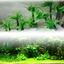 Mya Nhỏ Nhựa Cá Mô Phỏng Thực Vật Cảnh Quan Mô Phỏng Cây Nước Thời Trang Cây Nước Bể Cá Trang Trí