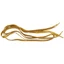 45.7 "GLITTER FLAT MÀU SẮC NGẮN THỂ THAO DANCE QUẠT QUẠT-Gold
