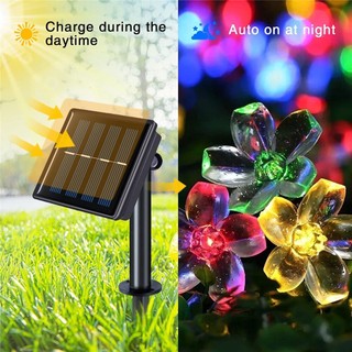 12m Vòng Hoa Năng Lượng Mặt Trời Ánh Sáng Hoa Đào Dây LED Đèn Cổ Tích Sân Vườn Tiệc Cưới Trang Trí Giáng Sinh Cho Đèn Ngoài Trời