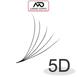 Mi fan 5D độ cong C - CC - D, độ dày 0.7 - 1 hộp 500 fan - dụng cụ nối mi