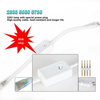 220v Đèn Neon RGB Bộ Điều Khiển EU Cắm IR 24Key Bộ Điều Khiển Từ Xa Cho 5050 2835 Dải LED Đèn Neon