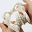 SA Mini Nữ Pelvis Mô Hình Nữ Pelvic Mô Hình Con Người Mô Hình Y Tế Mô Hình Giảng Dạy Cho Nghiên Cứu Giảng Dạy Phòng Thí Nghiệm