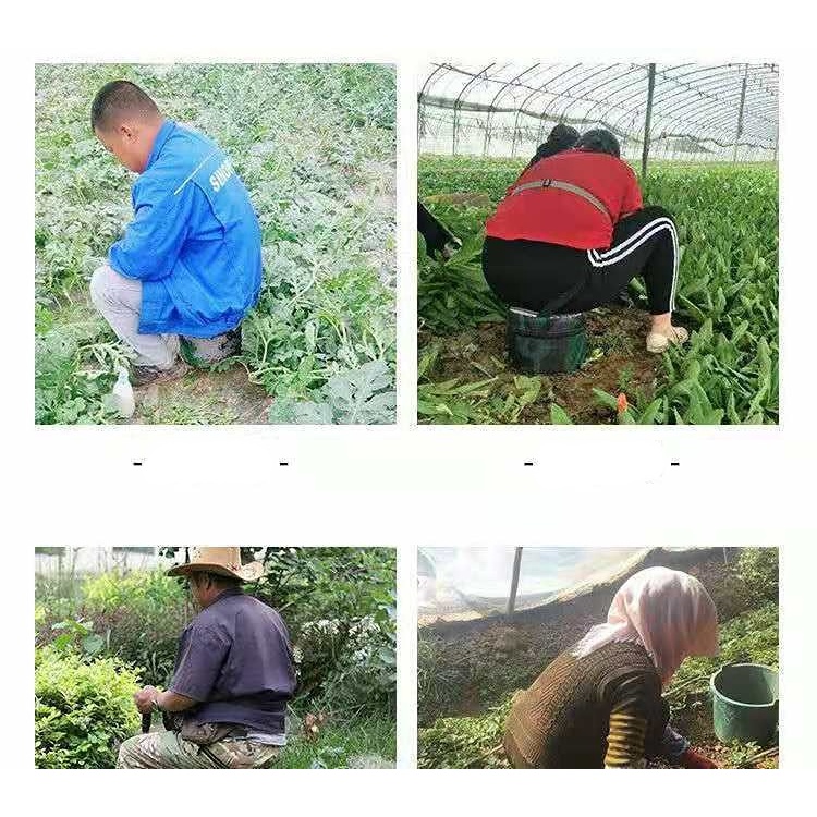 Ghế Đẩu Nông Trại Mang Đi Tiện Dụng Cho Nhà Kính
