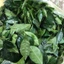 1kg lá chè xanh (trà xanh) rừng tươi sạch, cắt cả cành và lá