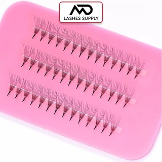 Mi fan LINE 7D độ cong C - CC - D, độ dày 0.7 - 1 hộp 1000 fan - dụng cụ nối mi