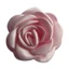 BTF Camellia Trâm Cài Nữ Trâm Cài Ve Áo Chân Đầm Phụ Kiện Camellia Corsage Pin